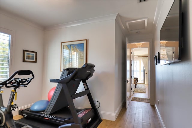 workout room featuring light wood-type flooring and ornamental molding