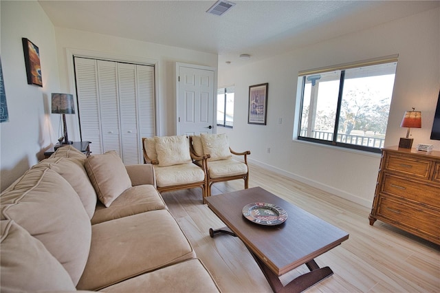 living room featuring light hardwood / wood-style flooring