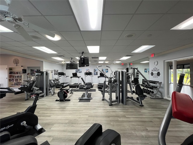 workout area featuring a drop ceiling and light hardwood / wood-style flooring