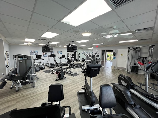 exercise room with ceiling fan, a drop ceiling, and light wood-type flooring