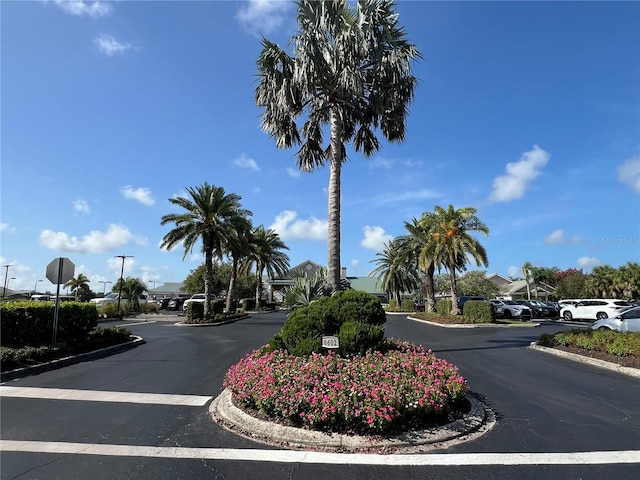 6713 Stone River Rd Unit 205, Bradenton, FL 34203 - view of asphalt street featuring curbs and traffic signs