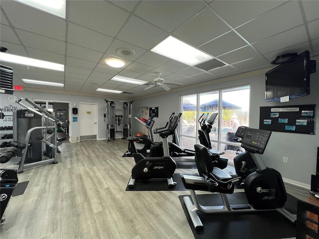 workout area with ceiling fan, a drop ceiling, and light hardwood / wood-style flooring