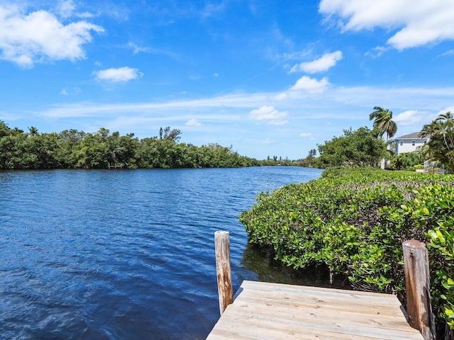 dock area featuring a water view