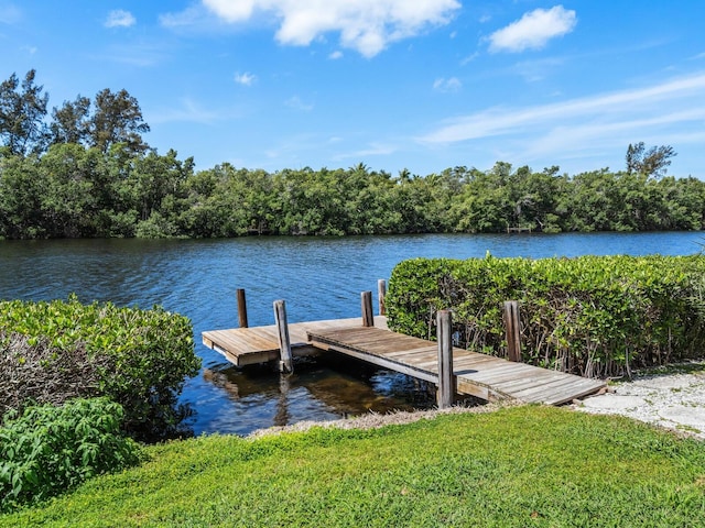 view of dock with a water view