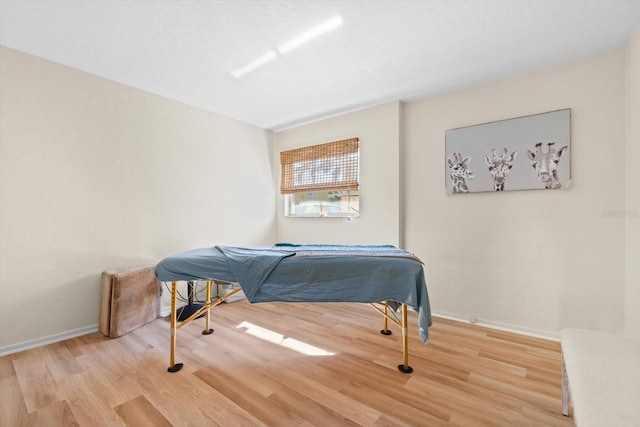 recreation room with light hardwood / wood-style flooring