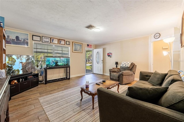 living room featuring a textured ceiling, light hardwood / wood-style flooring, and plenty of natural light