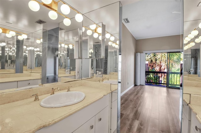 bathroom featuring wood-type flooring and vanity