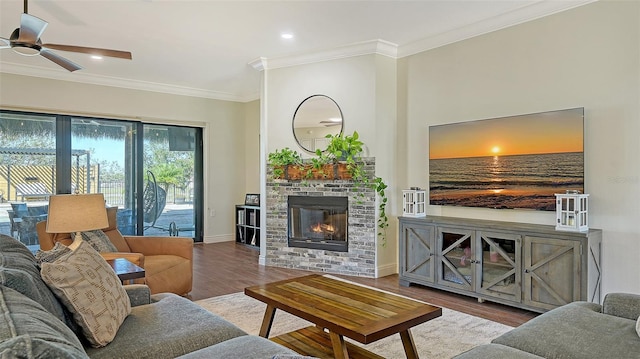 living room with hardwood / wood-style floors, a fireplace, ornamental molding, and ceiling fan