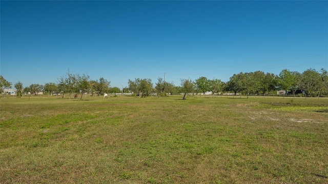 view of yard with a rural view