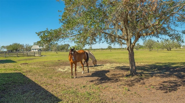 view of yard with a rural view