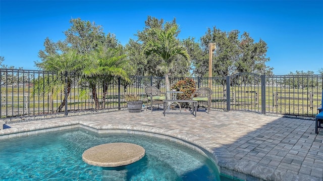 view of swimming pool with a patio area