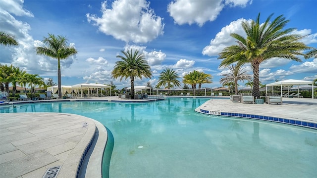 view of swimming pool with a patio