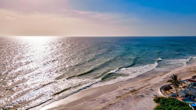 water view featuring a beach view