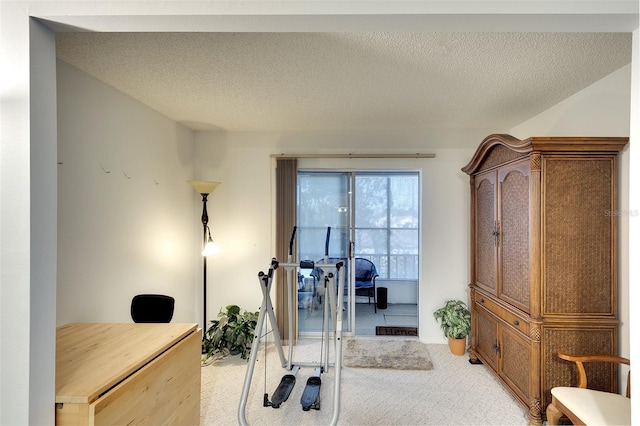 interior space with light carpet and a textured ceiling