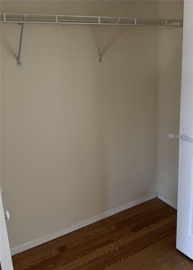 spacious closet with dark hardwood / wood-style floors