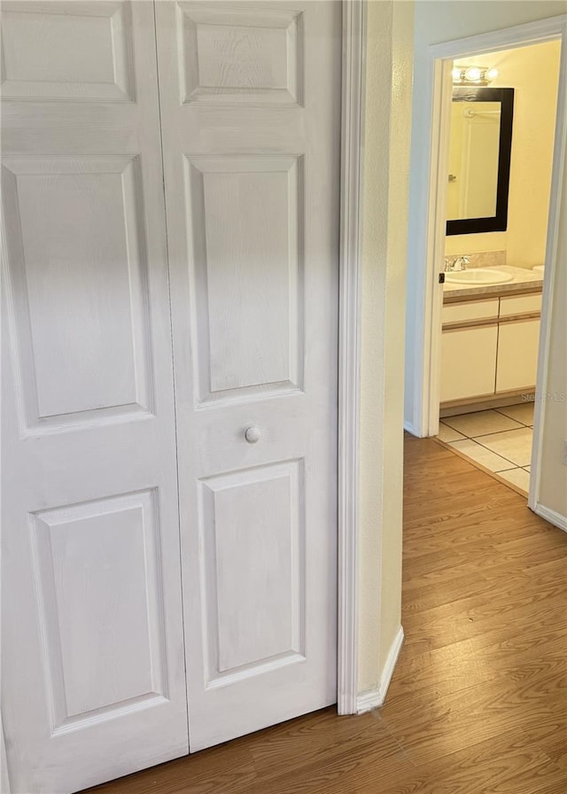 details featuring wood-type flooring and vanity