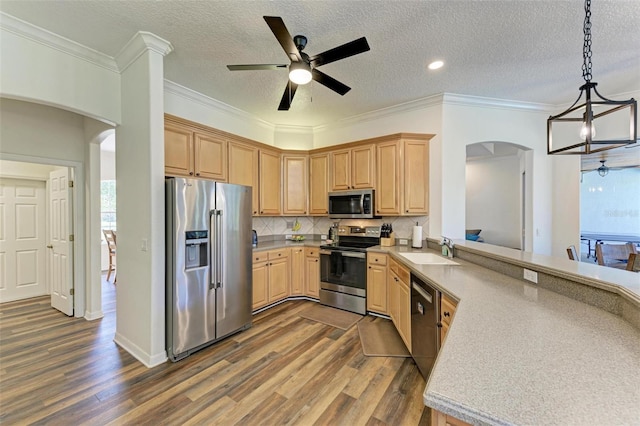 21709 Deer Pointe Xing, Bradenton, FL 34202 - kitchen with appliances with stainless steel finishes, arched walkways, ceiling fan, dark wood-style flooring, and crown molding
