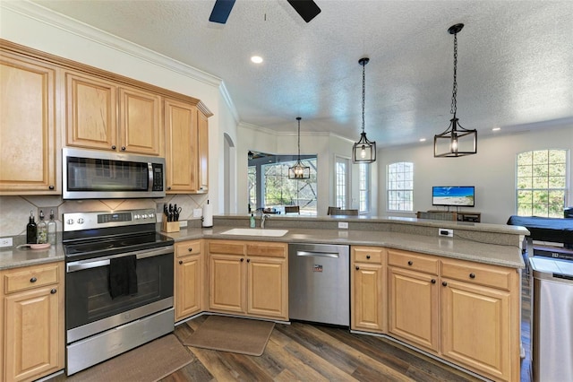 kitchen featuring appliances with stainless steel finishes, dark hardwood / wood-style floors, plenty of natural light, and pendant lighting