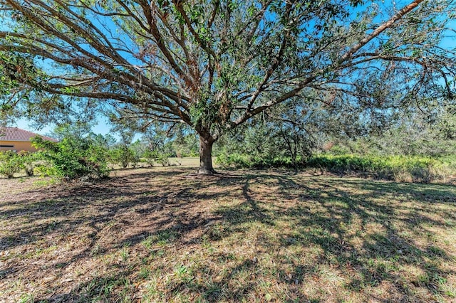 21709 Deer Pointe Xing, Bradenton, FL 34202 - view of yard