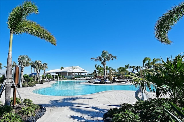 view of pool with a patio area