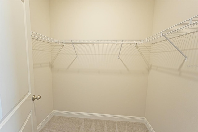 walk in closet with carpet