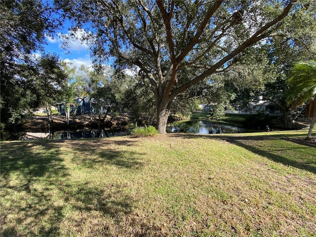 view of yard with a water view