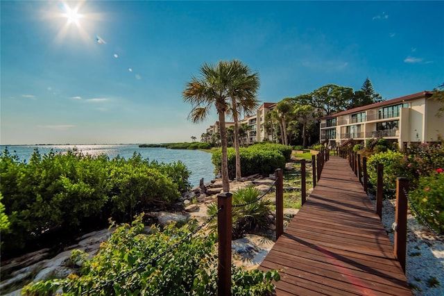 dock area with a water view