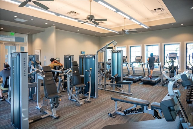 gym featuring a raised ceiling, ceiling fan, and carpet