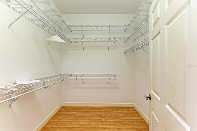 walk in closet with wood-type flooring