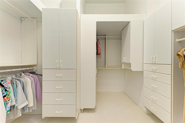 spacious closet featuring light carpet