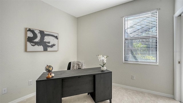 office featuring light colored carpet