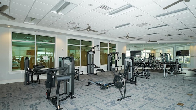 workout area featuring carpet flooring, ceiling fan, and a paneled ceiling