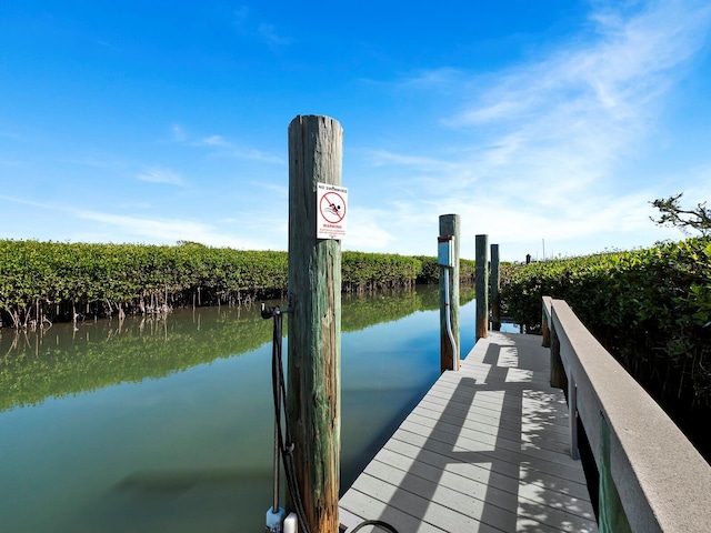 dock area with a water view