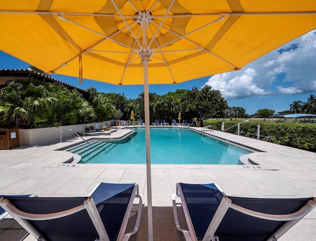 view of pool featuring a patio