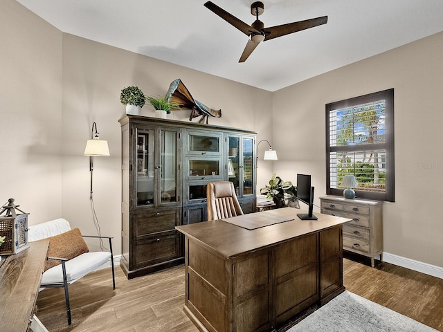 office with ceiling fan and light hardwood / wood-style flooring