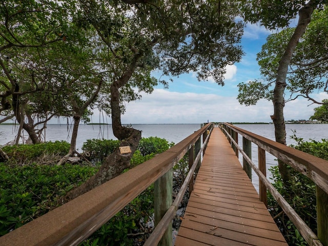 dock area with a water view