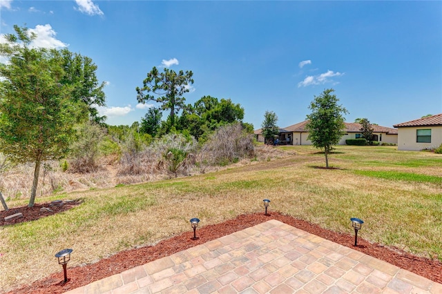 view of yard featuring a patio area