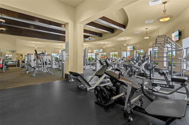 gym featuring a high ceiling and a wealth of natural light