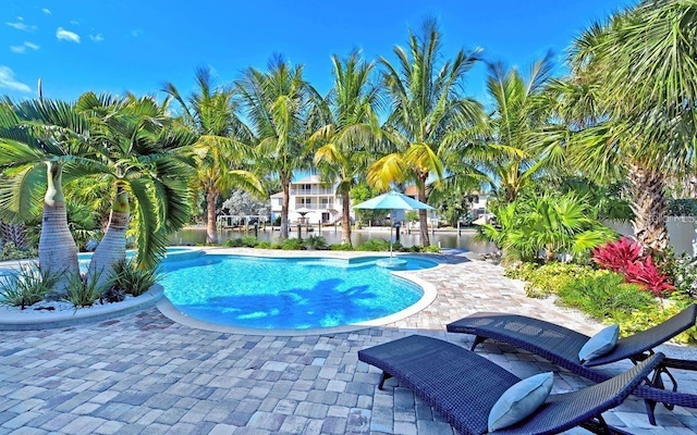 view of swimming pool featuring a patio