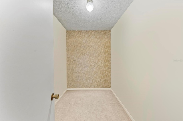 interior space with light colored carpet and a textured ceiling