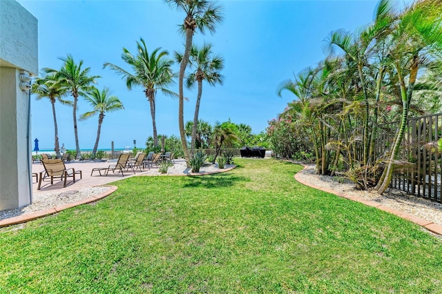 view of yard featuring a patio