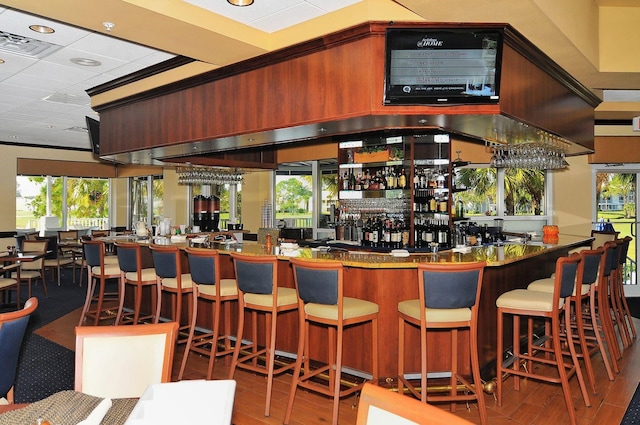 bar featuring hardwood / wood-style flooring and a wealth of natural light