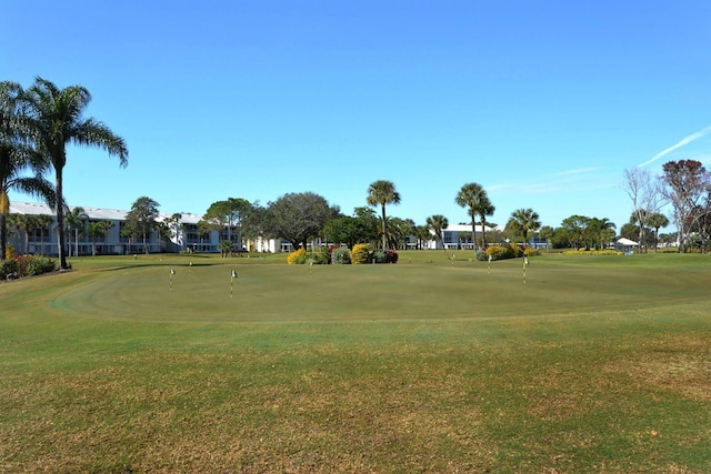 view of community with a yard