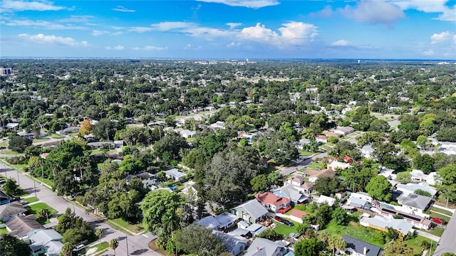 bird's eye view