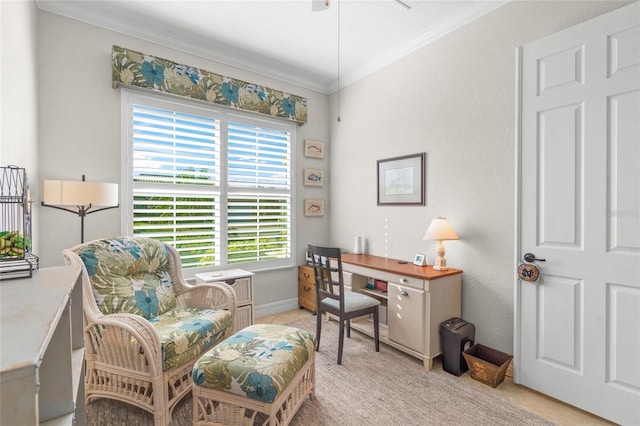 carpeted office with crown molding