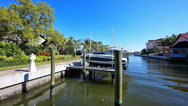 dock area with a water view