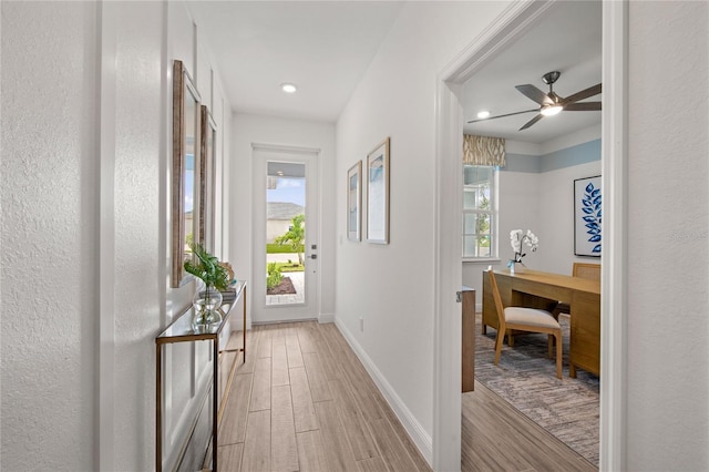 hallway featuring light hardwood / wood-style flooring