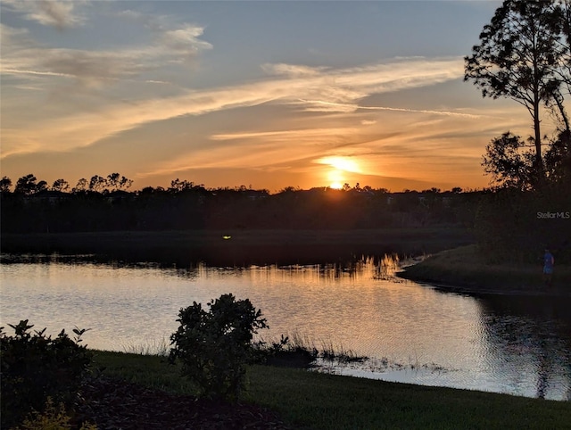 water view