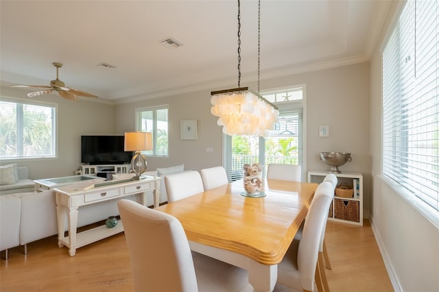 dining room featuring ceiling fan with notable chandelier, a healthy amount of sunlight, light hardwood / wood-style floors, and ornamental molding