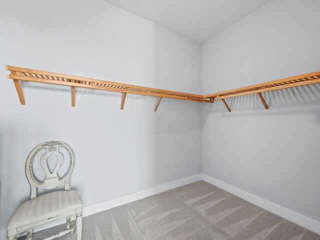 walk in closet featuring light carpet